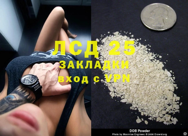 стафф Аркадак