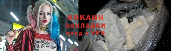ПСИЛОЦИБИНОВЫЕ ГРИБЫ Арсеньев