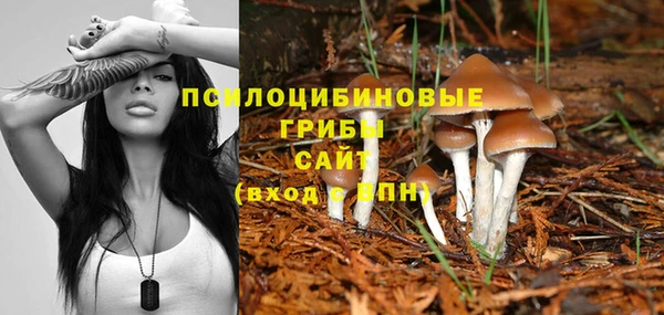 стафф Аркадак