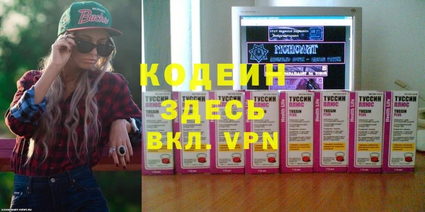 ПСИЛОЦИБИНОВЫЕ ГРИБЫ Арсеньев