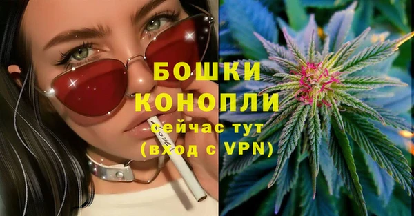 крисы Армянск