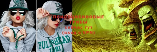 ПСИЛОЦИБИНОВЫЕ ГРИБЫ Арсеньев