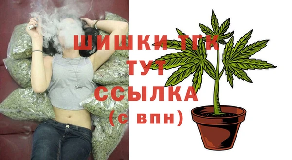 стафф Аркадак