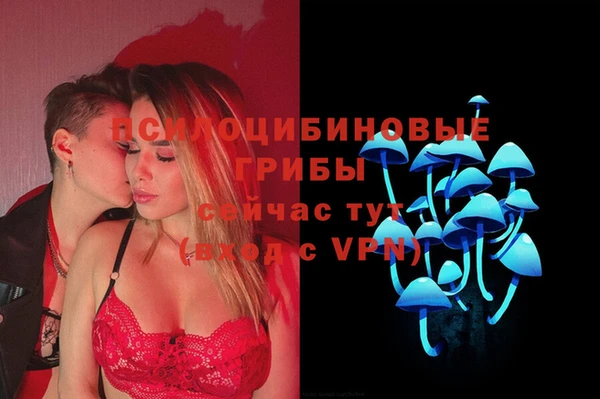 крисы Армянск