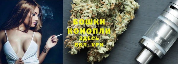 стаф Няндома