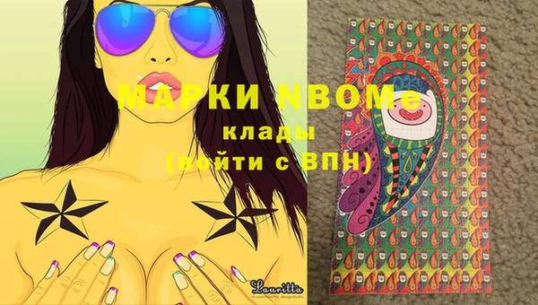 ПСИЛОЦИБИНОВЫЕ ГРИБЫ Арсеньев