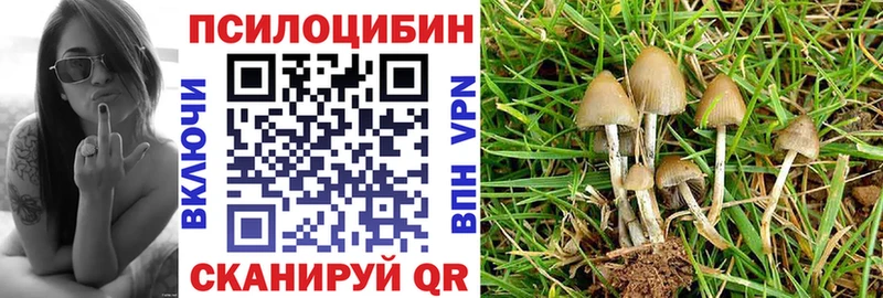 Псилоцибиновые грибы мухоморы  Пугачёв 
